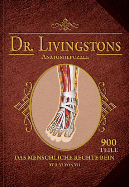 Dr. Livingstons Anatomiepuzzle: Das rechte Bein