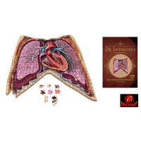 Dr. Livingstons Anatomiepuzzle:  gallery 2_2nd