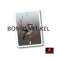 Singvögel: Würger gallery